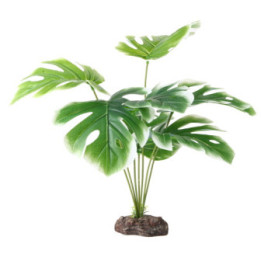 Monstera White , Terraario- ja akvaariotarvike