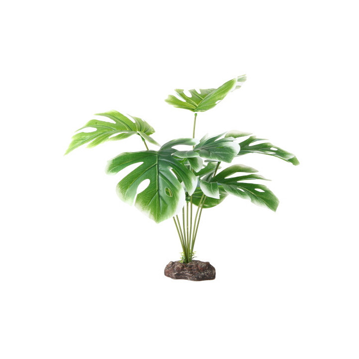 Monstera White , Terraario- ja akvaariotarvike