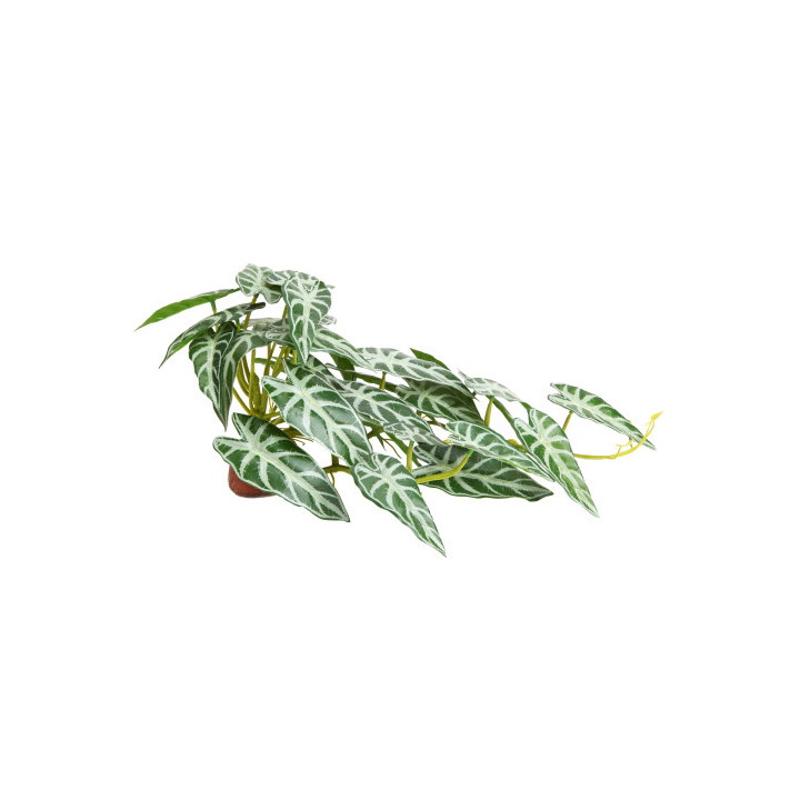 Calathea 2 , Terraario- ja akvaariotarvike