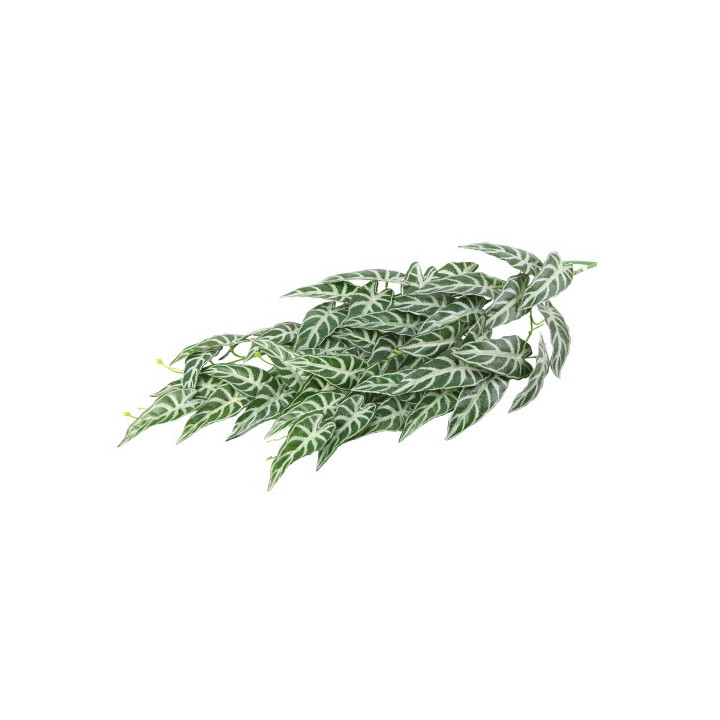 Climber Aureum , Terraario- ja akvaariotarvike
