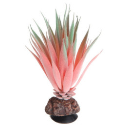 Terra Succulent 1 , Terraario- ja akvaariotarvike