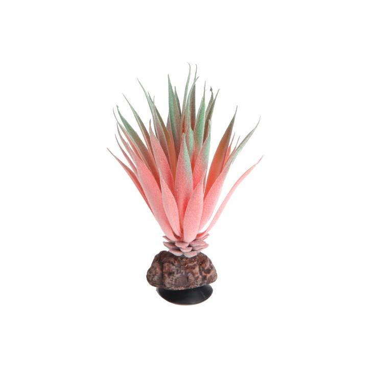 Terra Succulent 1 , Terraario- ja akvaariotarvike