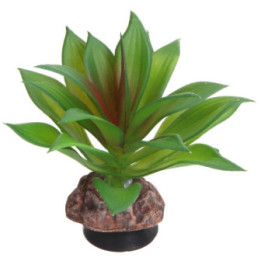 Terra Succulent 2 , Terraario- ja akvaariotarvike