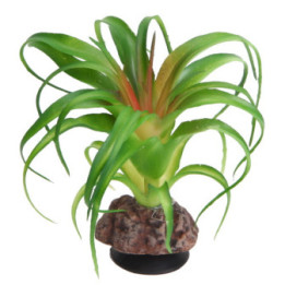 Terra Succulent 3 , Terraario- ja akvaariotarvike