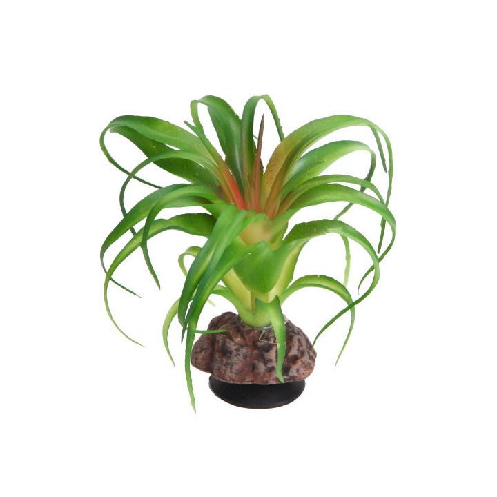 Terra Succulent 3 , Terraario- ja akvaariotarvike