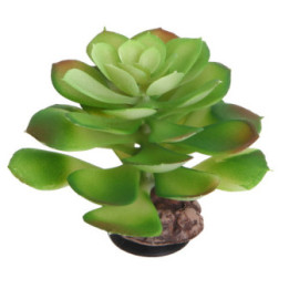 Terra Succulent 4 , Terraario- ja akvaariotarvike