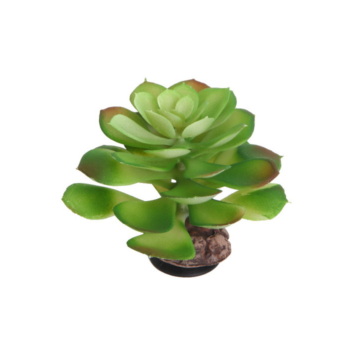 Terra Succulent 4 , Terraario- ja akvaariotarvike