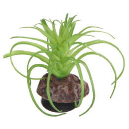 Terra Succulent 5 , Terraario- ja akvaariotarvike