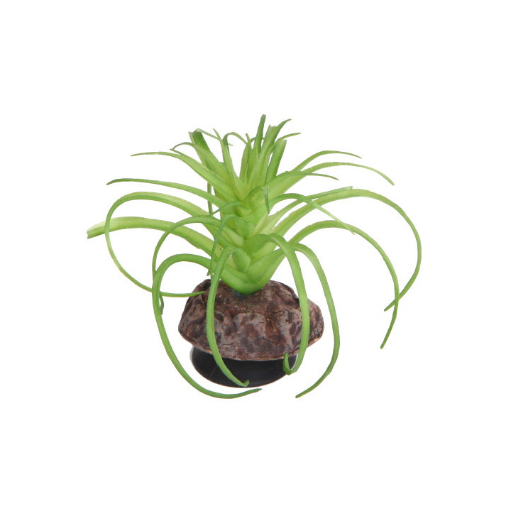 Terra Succulent 5 , Terraario- ja akvaariotarvike