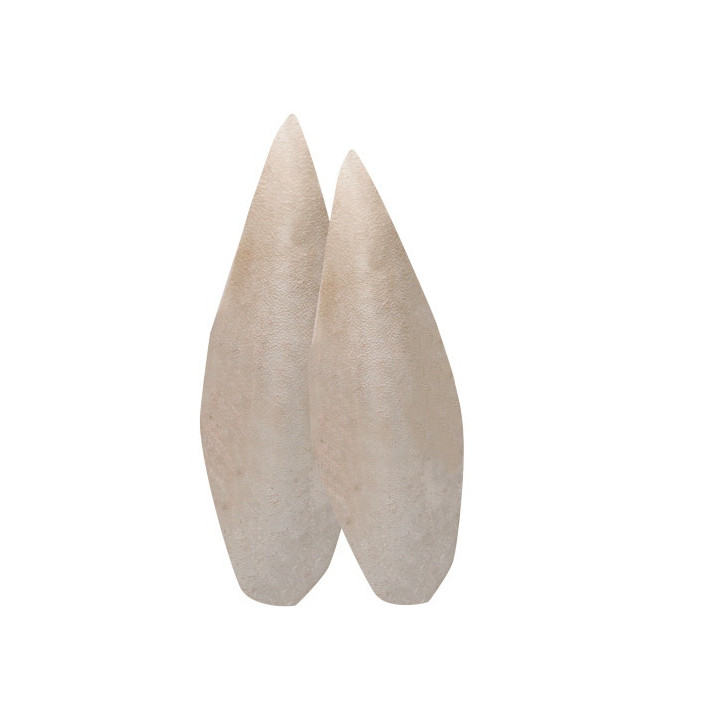 Sepia Bone , Terraario- ja akvaariotarvike