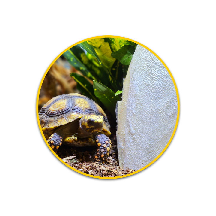 Sepia Bone , Terraario- ja akvaariotarvike