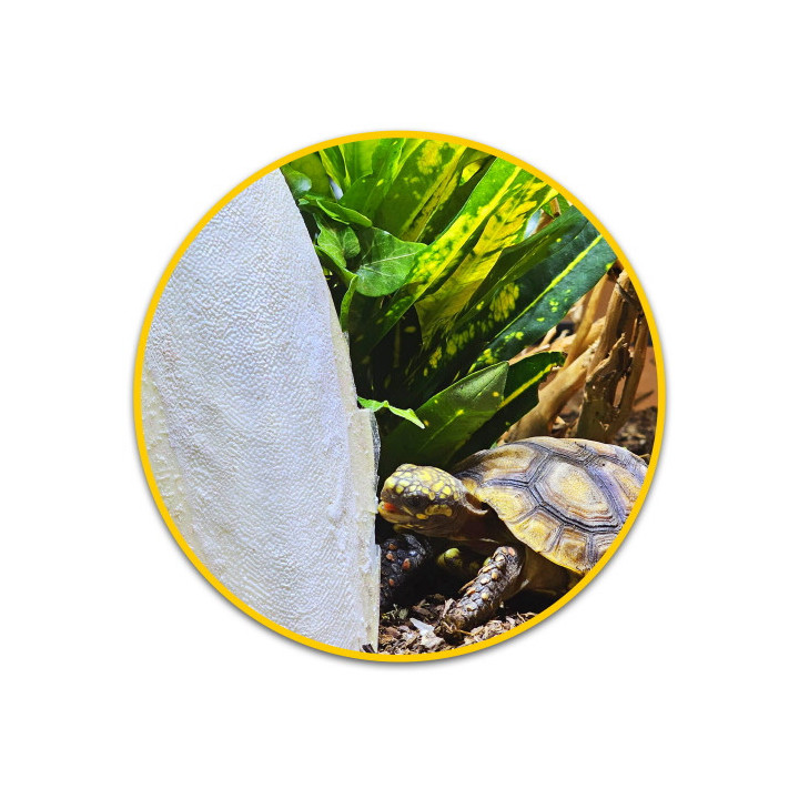 Sepia Bone , Terraario- ja akvaariotarvike