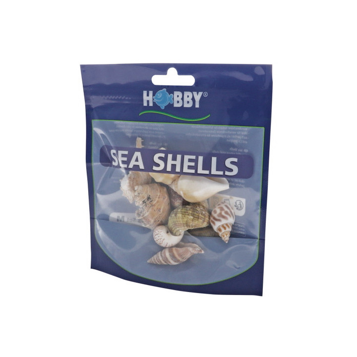 Sea Shells Set M , Terraario- ja akvaariotarvike