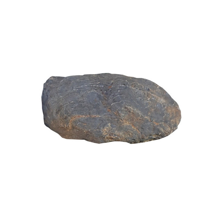 Blue Marbled Rock L , Terraario- ja akvaariotarvike