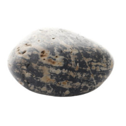 Harmony Stone M , Terraario- ja akvaariotarvike