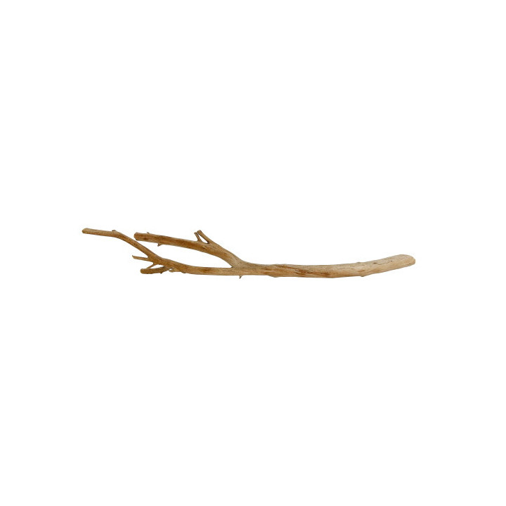 Manza Wood , Terraario- ja akvaariotarvike