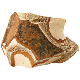 Picture Jasper , Terraario- ja akvaariotarvike