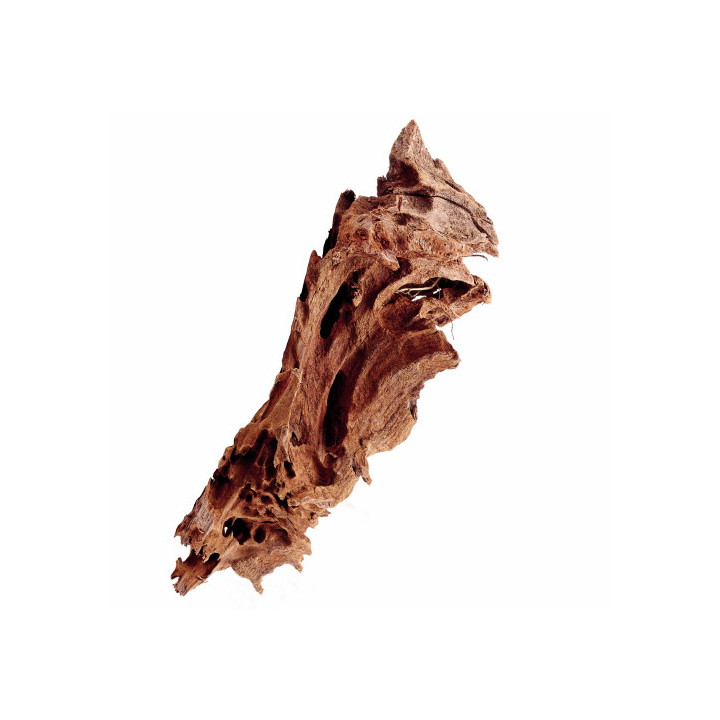 Mangrove Wood XS , Terraario- ja akvaariotarvike