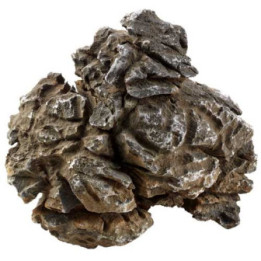 Pagoda Rock L , Terraario- ja akvaariotarvike