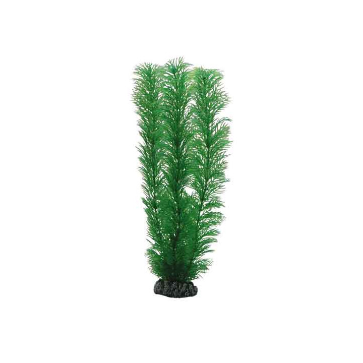 Hobby Egeria 20 cm, s.s. -