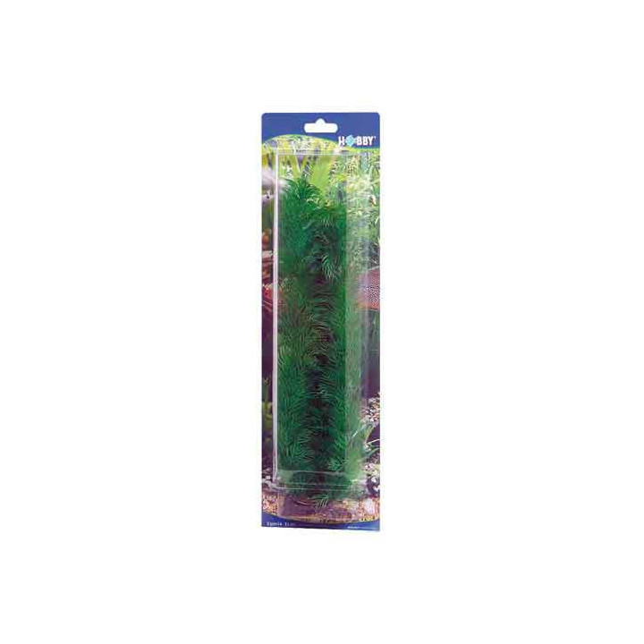 Hobby Egeria 20 cm, s.s. -