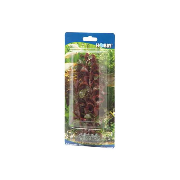 Rotala , Terraario- ja akvaariotarvike