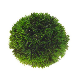 Plant Ball , Terraario- ja akvaariotarvike