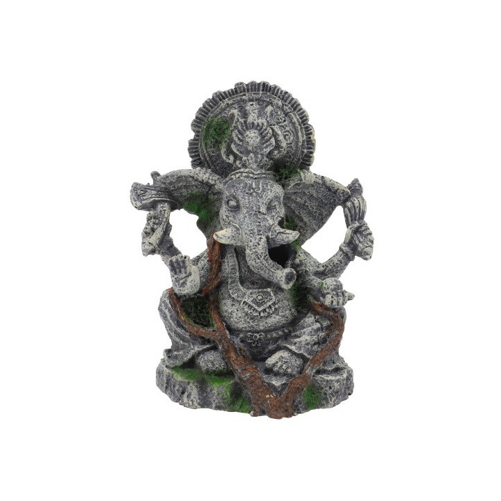 Ganesha , Terraario- ja akvaariotarvike