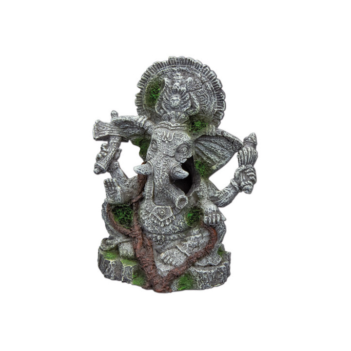 Ganesha , Terraario- ja akvaariotarvike