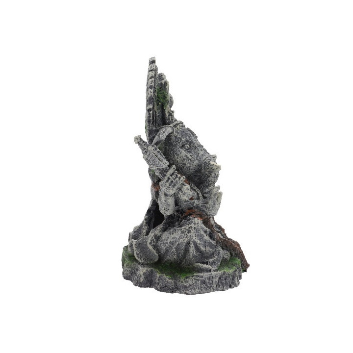 Ganesha , Terraario- ja akvaariotarvike