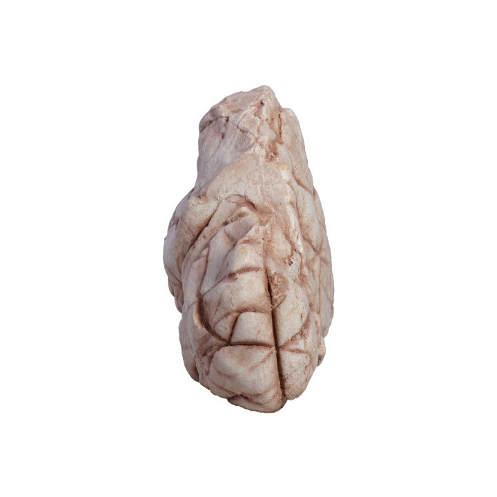 Sandstone Rock 5 , Terraario- ja akvaariotarvike