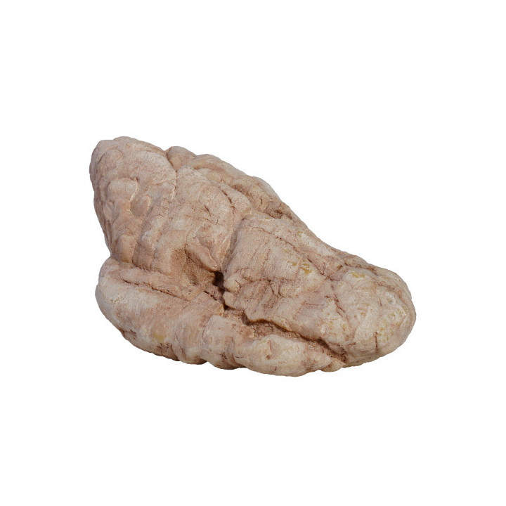 Sandstone Rock 5 , Terraario- ja akvaariotarvike