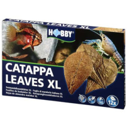 Catappa Leaves XL , Terraario- ja akvaariotarvike