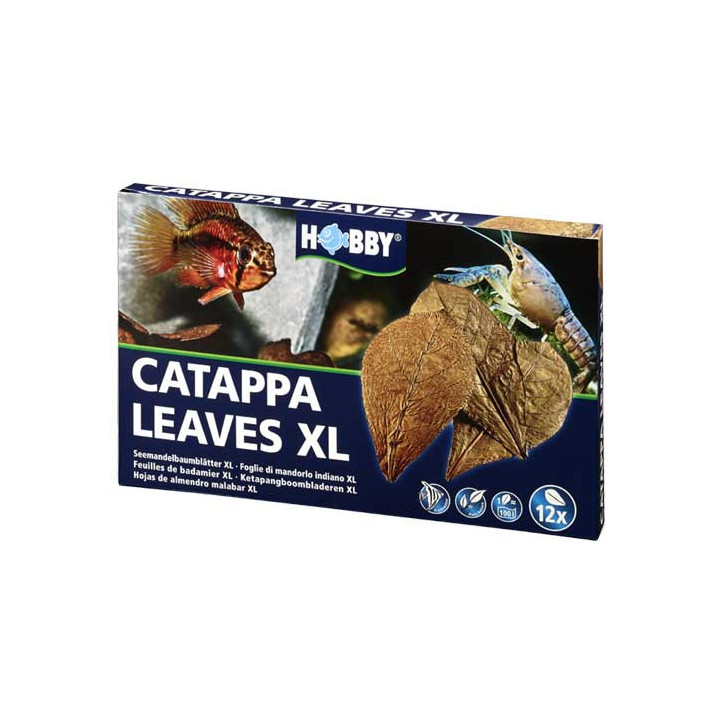 Catappa Leaves XL , Terraario- ja akvaariotarvike