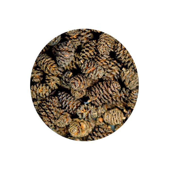 Alder Cones , Terraario- ja akvaariotarvike