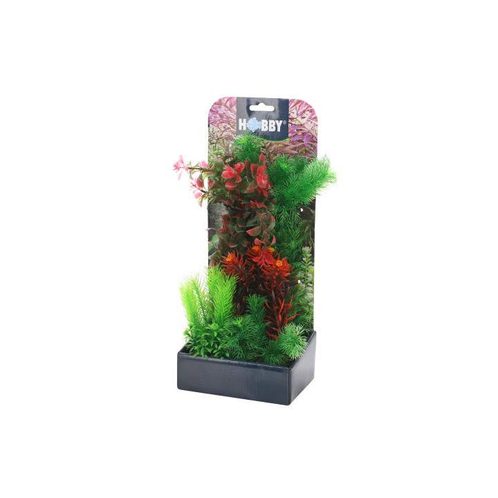 Plantasy Set 3 , Terraario- ja akvaariotarvike