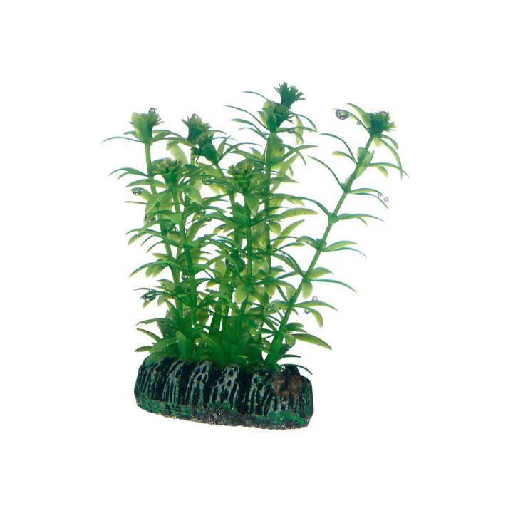 Plantasy Set 3 , Terraario- ja akvaariotarvike