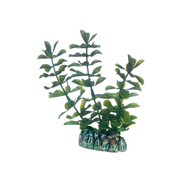 Plantasy Set 5 , Terraario- ja akvaariotarvike