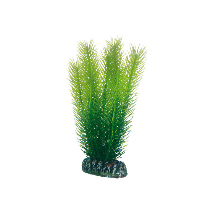 Plantasy Set 5 , Terraario- ja akvaariotarvike