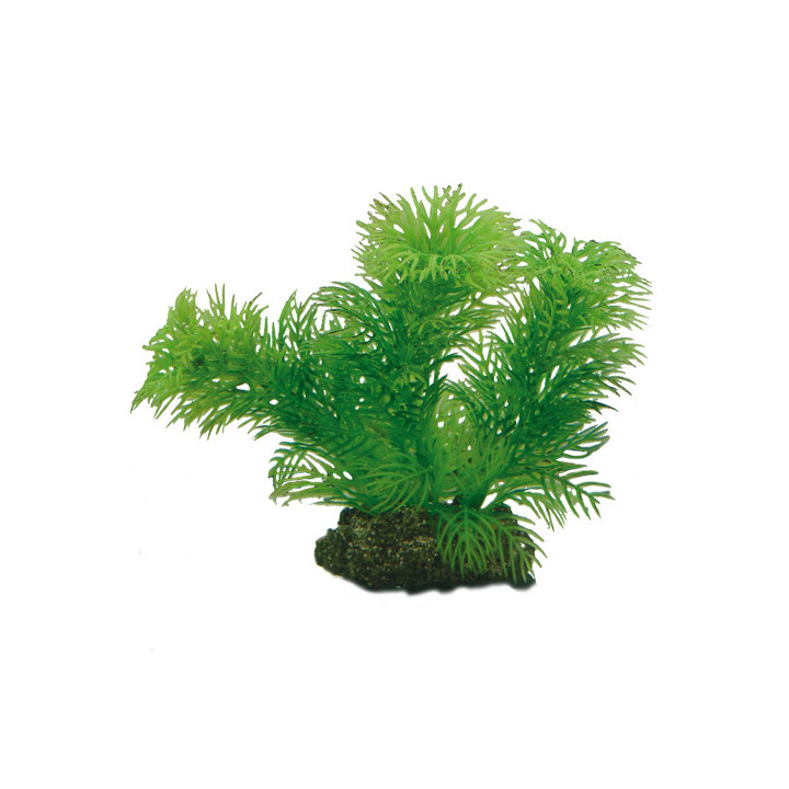 Plantasy Set 5 , Terraario- ja akvaariotarvike