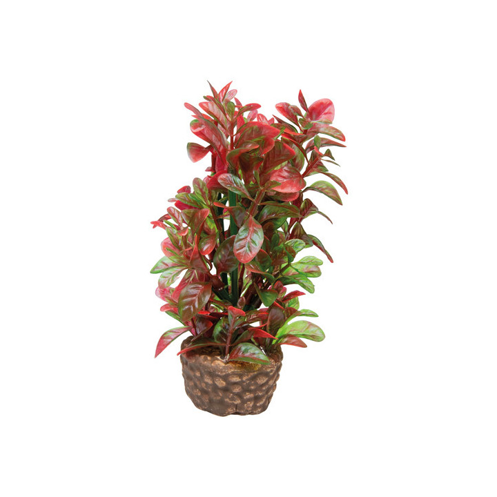 Flora Stone 4 , Terraario- ja akvaariotarvike
