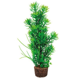 Flora Stone 5 , Terraario- ja akvaariotarvike