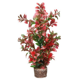 Flora Stone 7 , Terraario- ja akvaariotarvike