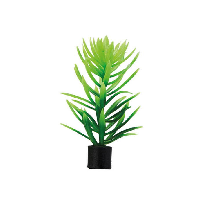 Didiplis mini , Terraario- ja akvaariotarvike