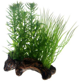 Flora Root 2 , Terraario- ja akvaariotarvike
