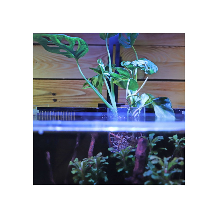 Plant basket , Terraario- ja akvaariotarvike