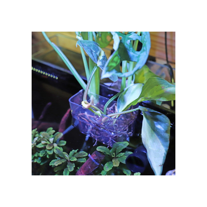 Plant basket , Terraario- ja akvaariotarvike