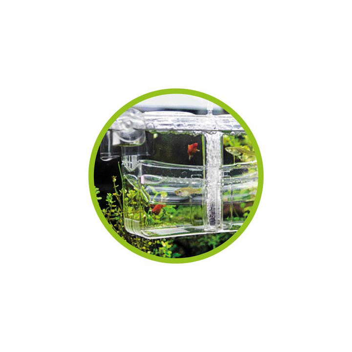 Nido 4 , Terraario- ja akvaariotarvike