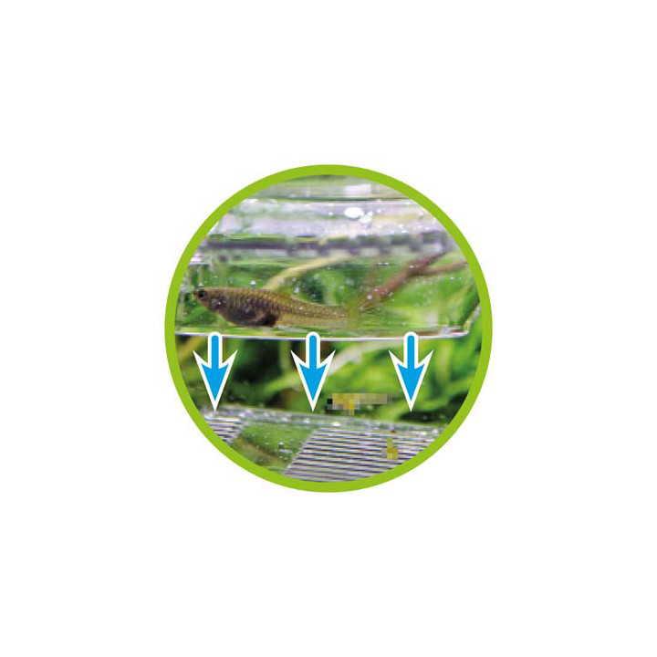 Nido 4 , Terraario- ja akvaariotarvike