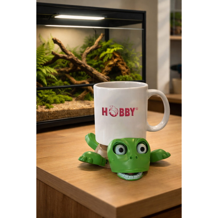 Hobby Crazy Lazy Turtle -